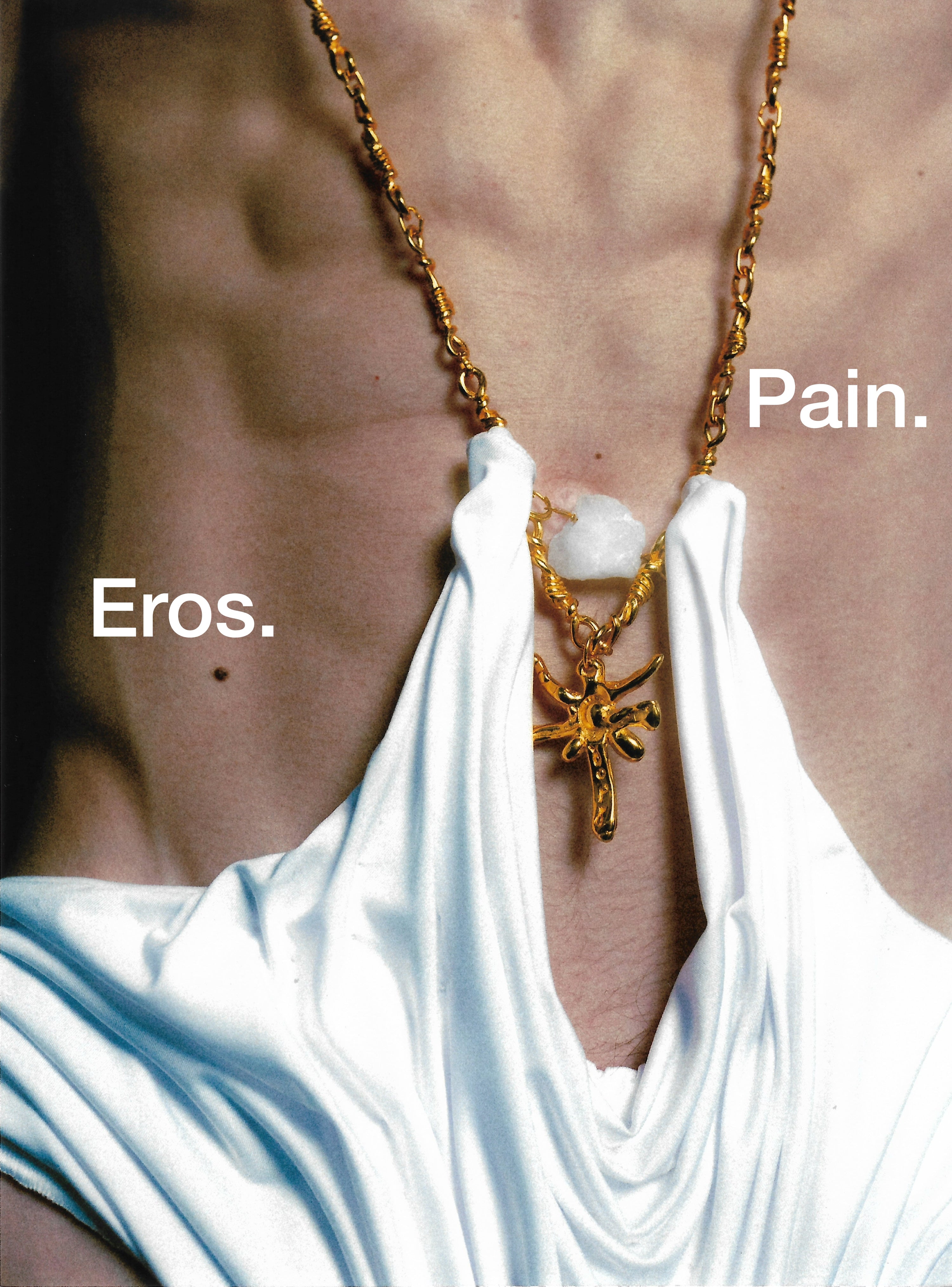 Adonis wetlook swim briefs