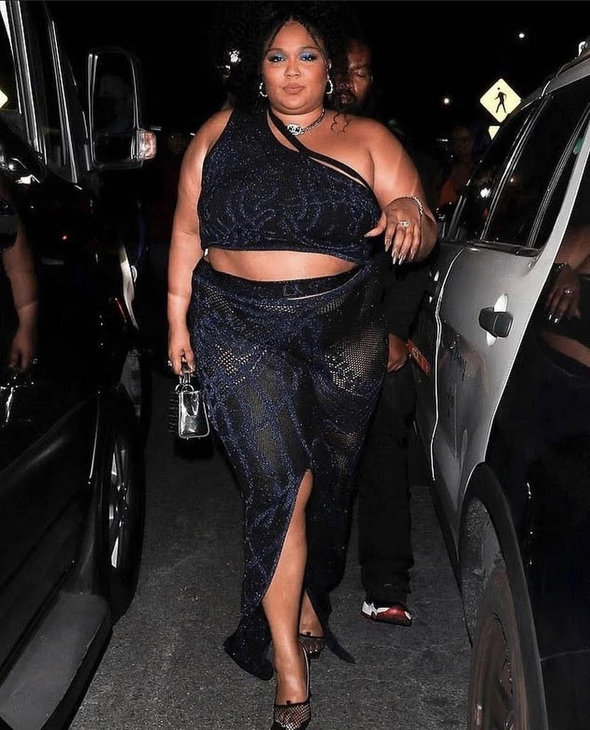 Birthing venus knit skirt