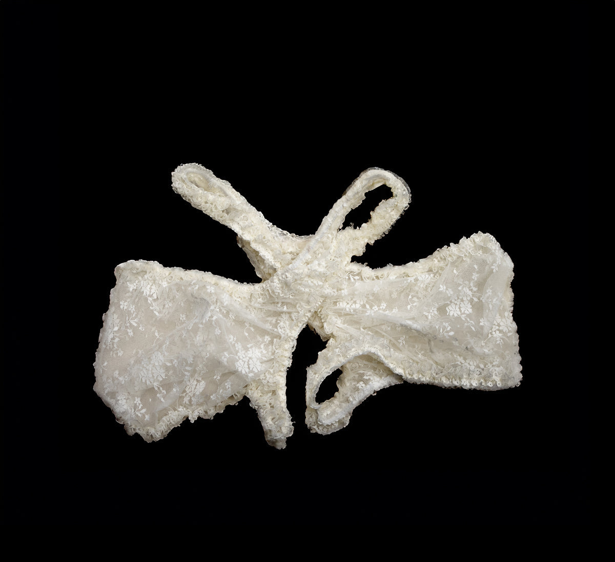 006-c-31  double chaps