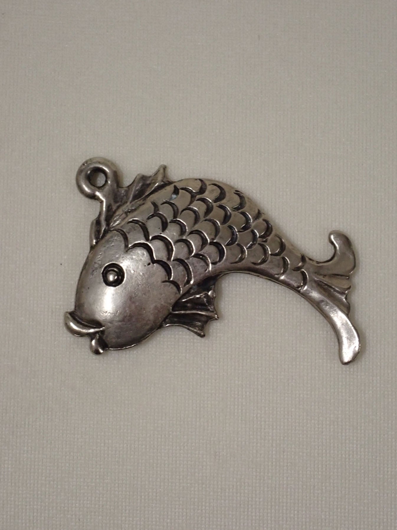 Silver fish