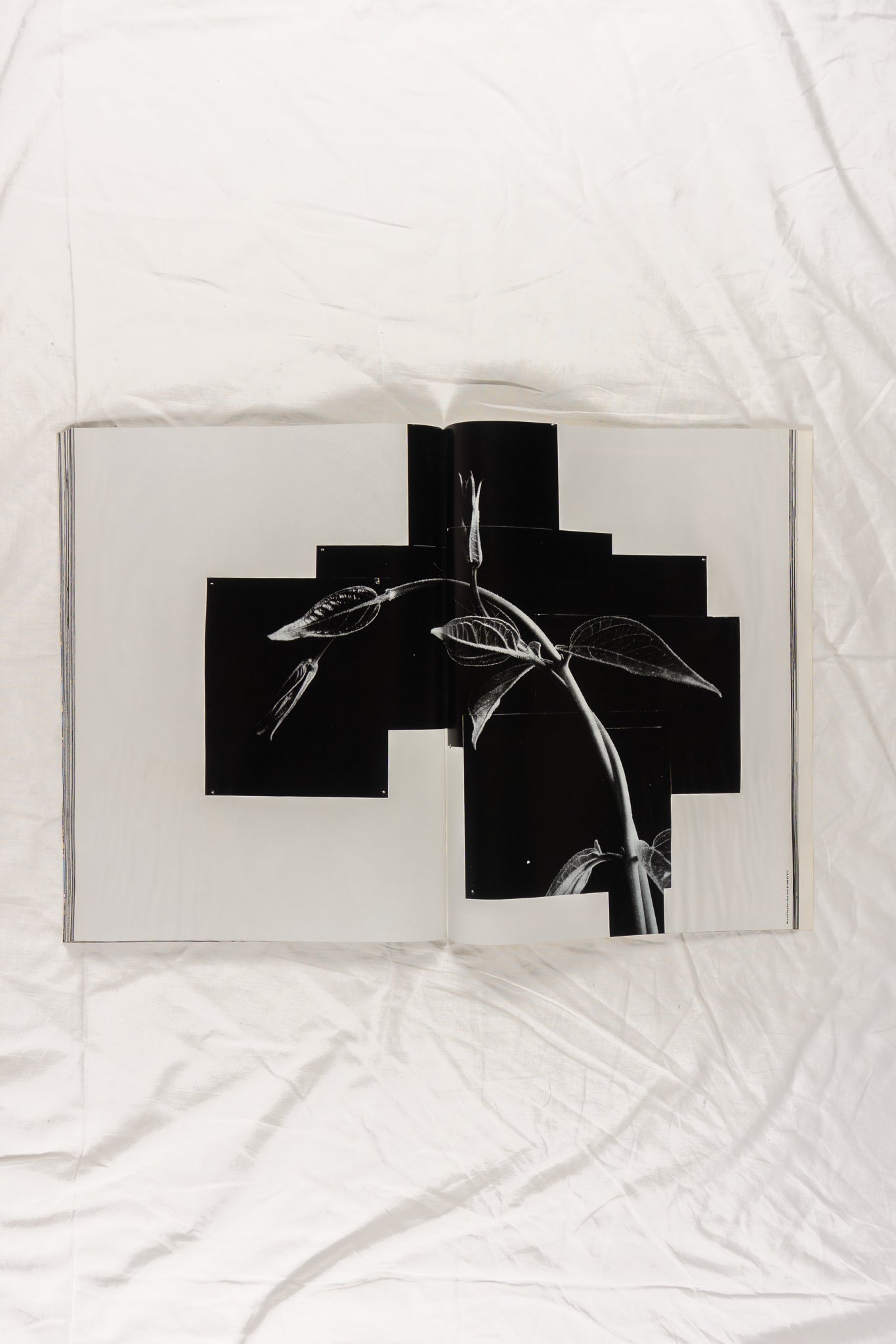 Comme des garçons six no. 4 1989