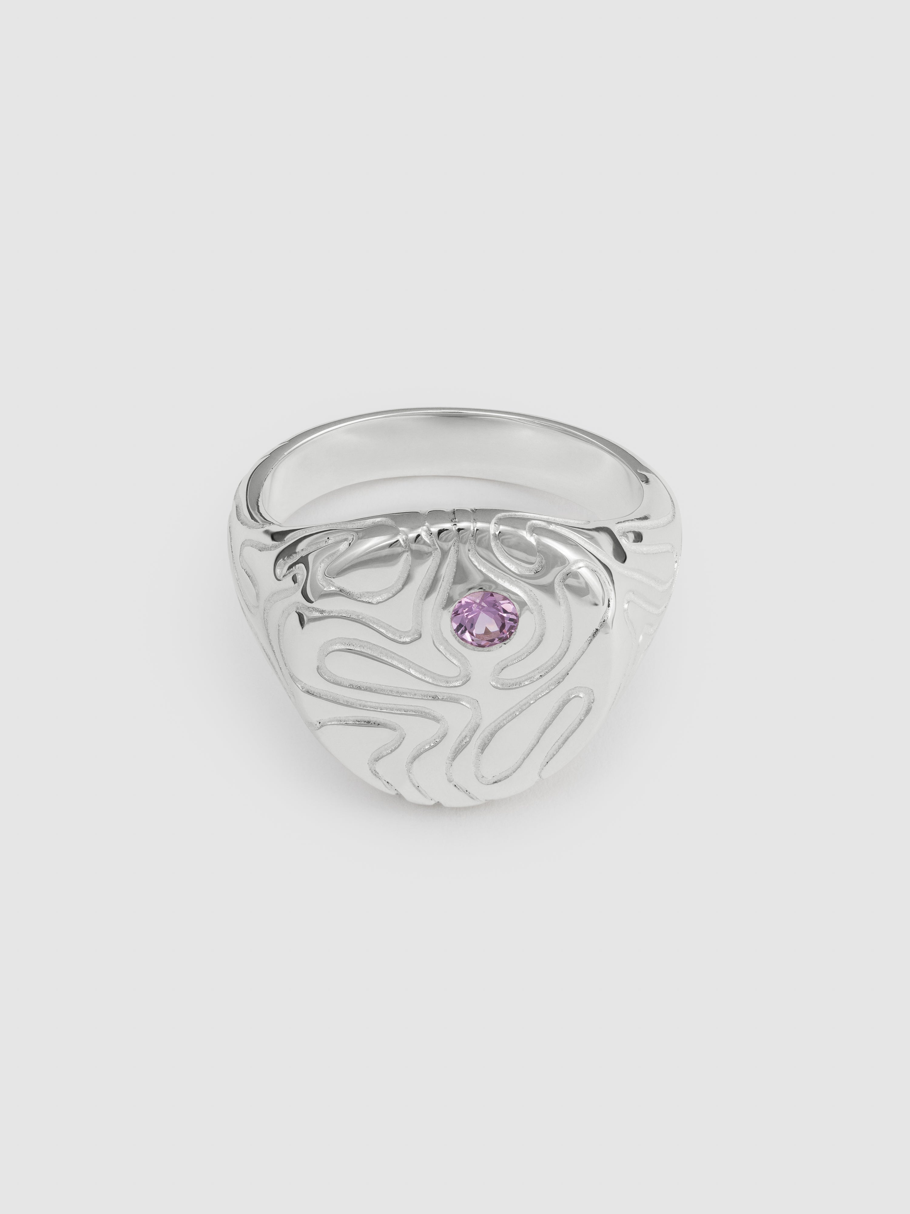 Globe signet purple