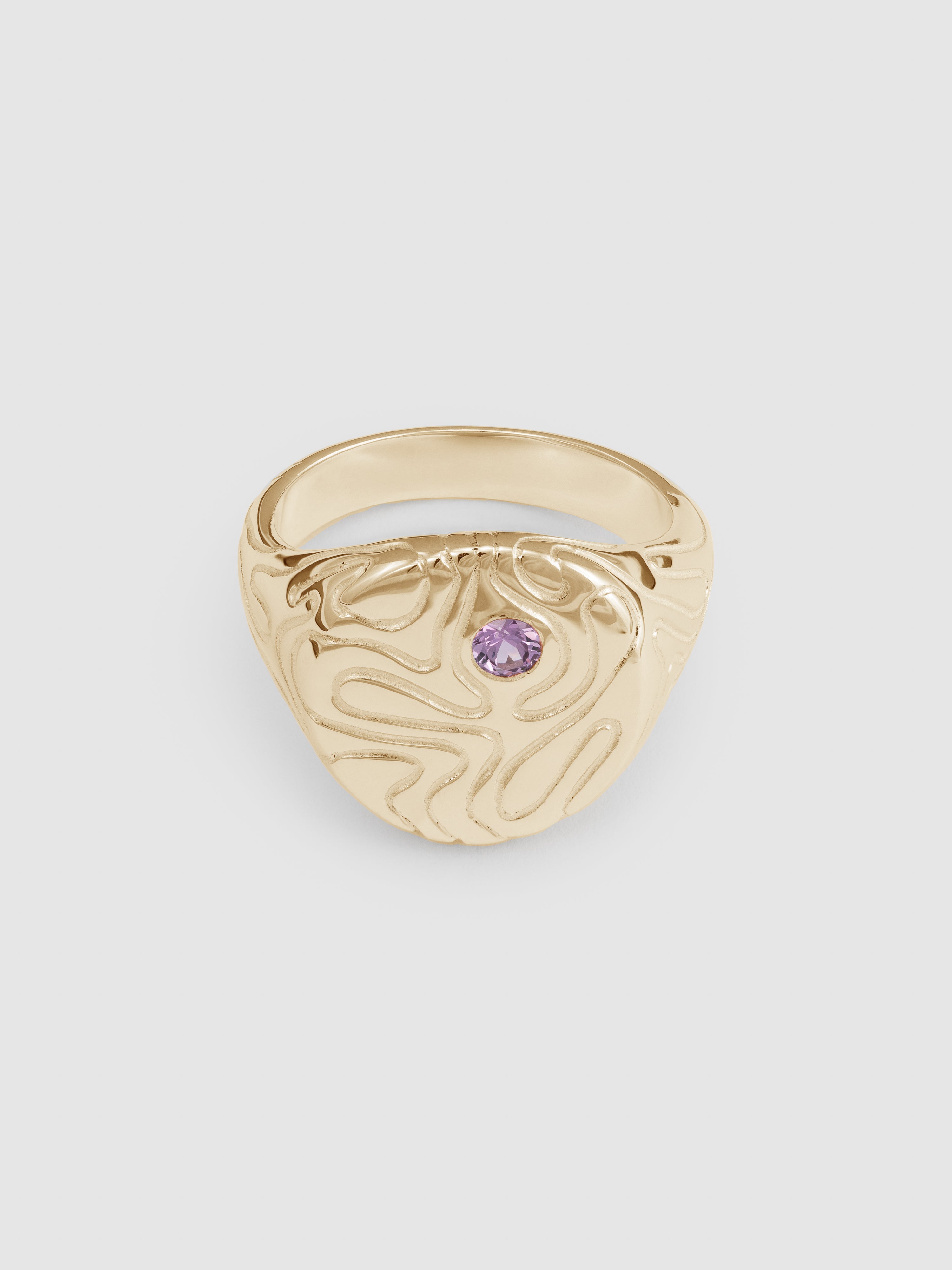 Globe signet purple