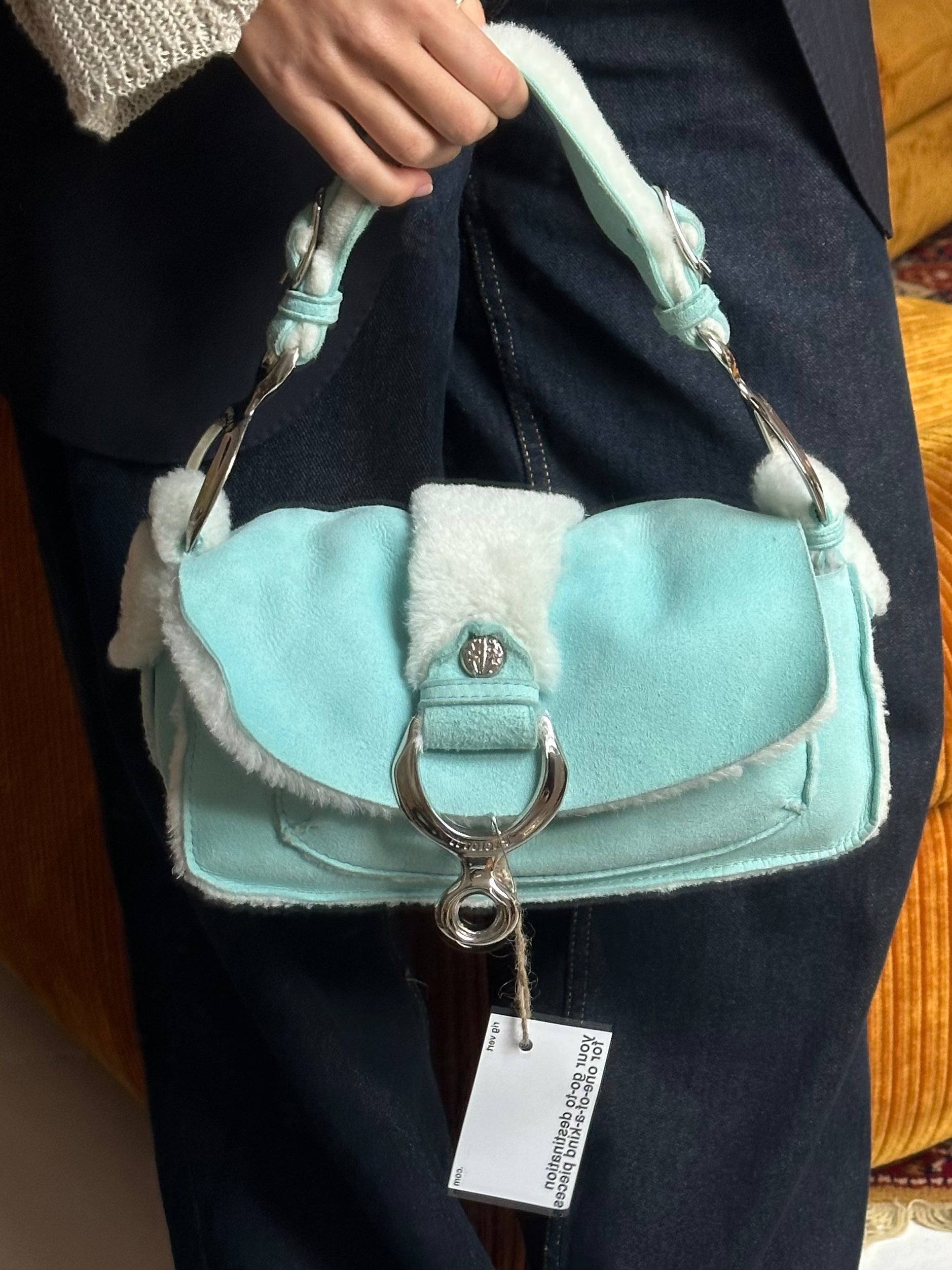 The ivy bag
