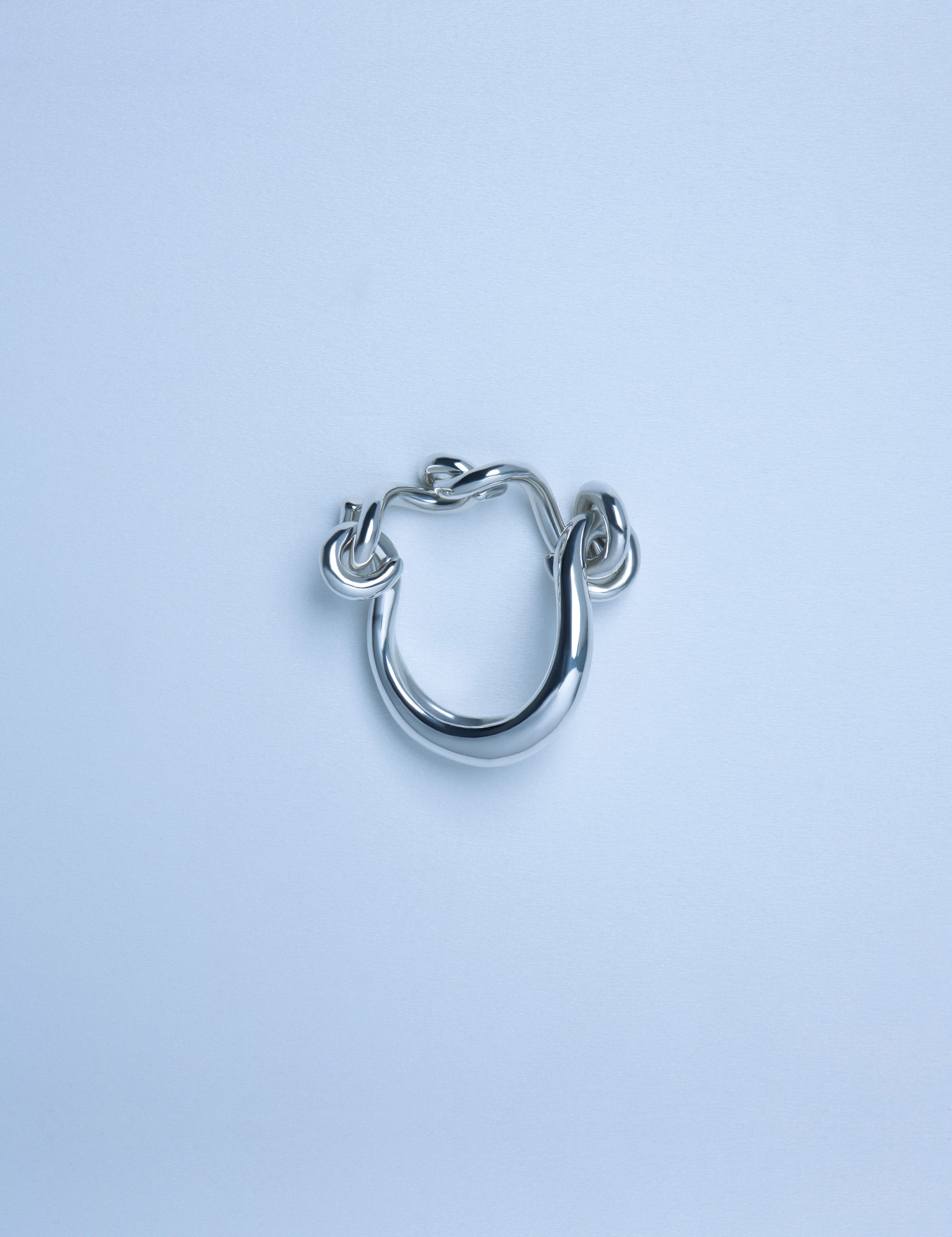 Worm chain ring