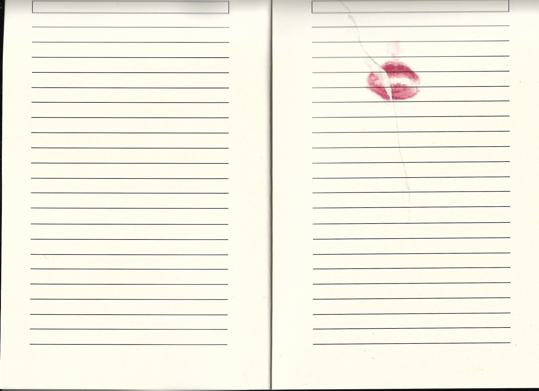 The archeology of self notebook