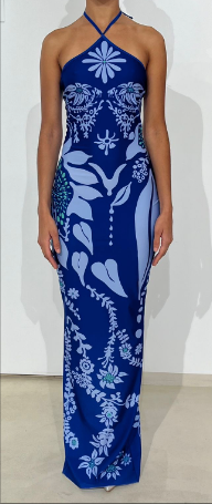 Flora lycra dress