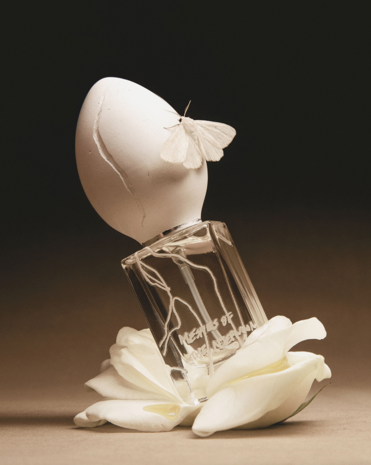 Meshes of the afternoon eau de parfum