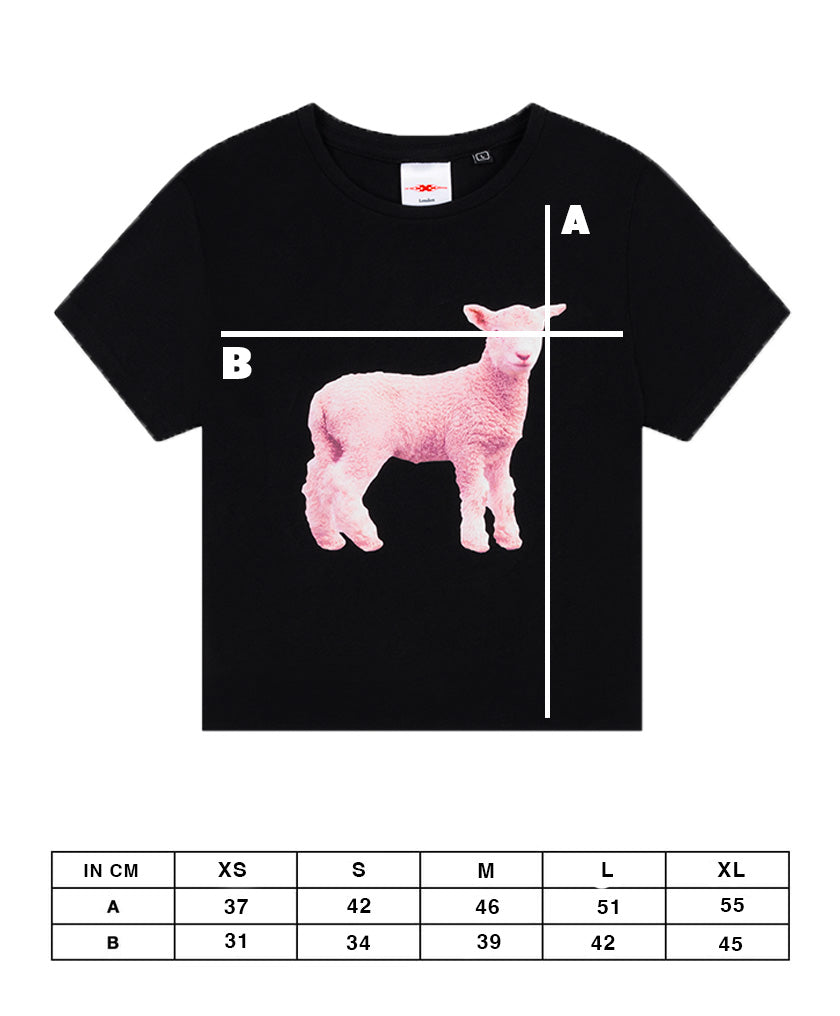 Lamb baby tee