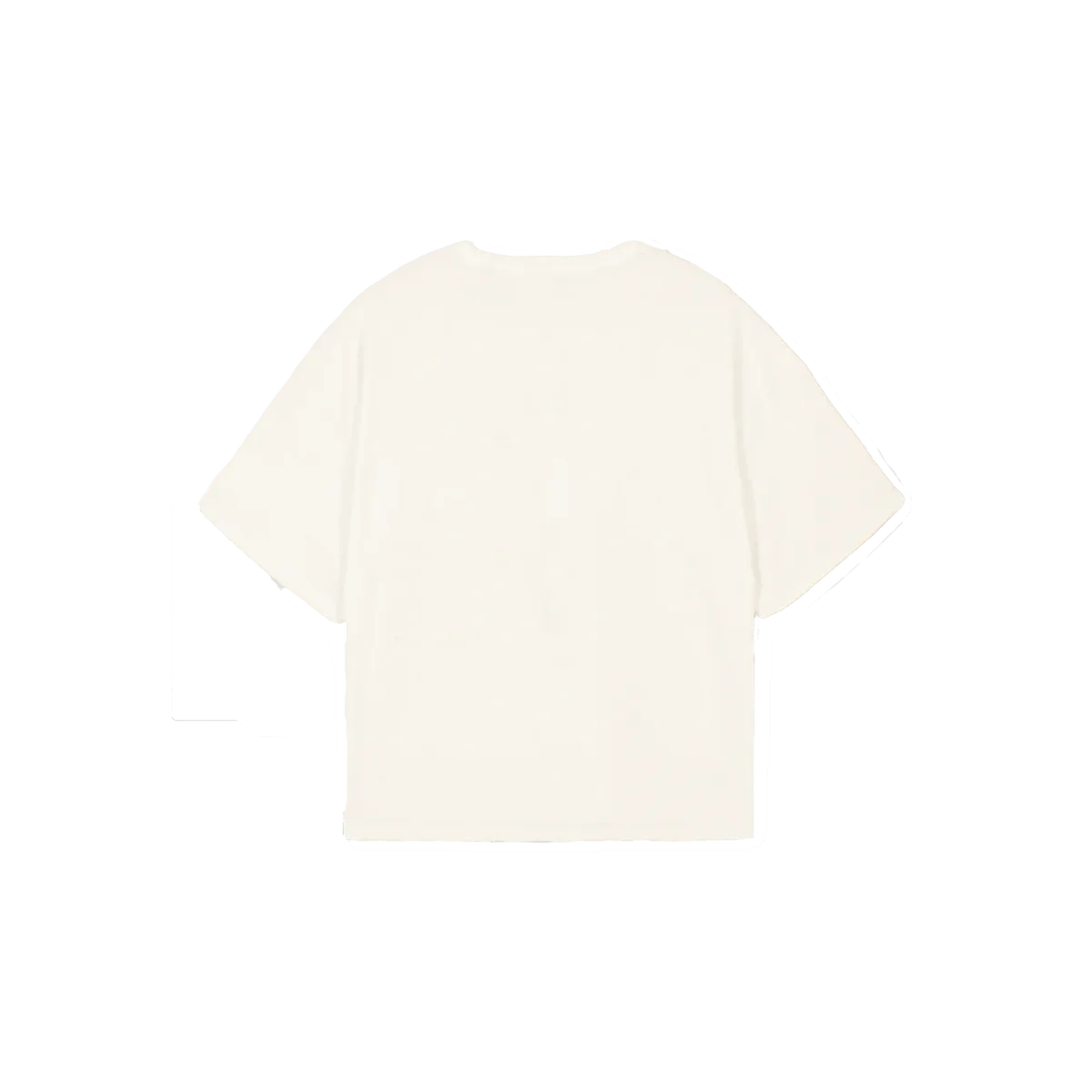 Cropped T-Shirt - Wet Dreams - Bone